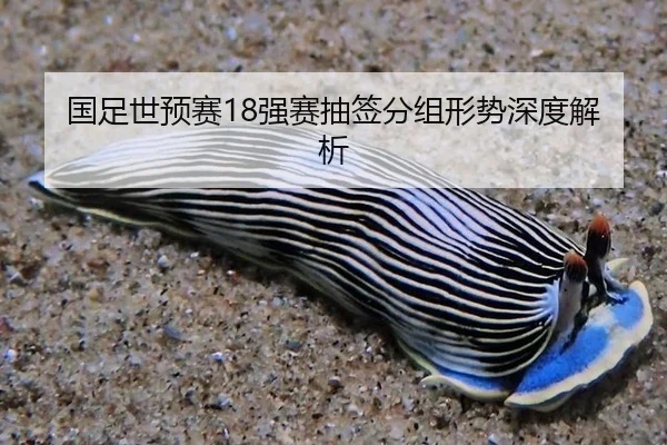 guo-zu-shi-yu-sai-qiang-sai-chou-qian-fen-zu-xing-shi-shen-du-jie-xi-2-203.jpg