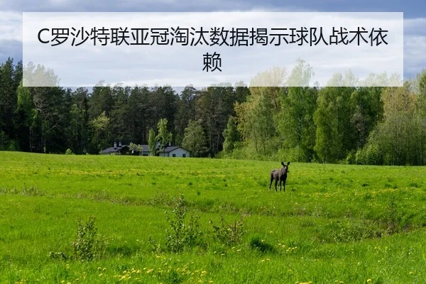 C罗沙特联亚冠淘汰数据揭示球队战术依赖