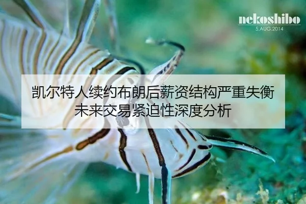 凯尔特人续约布朗后薪资结构严重失衡 未来交易紧迫性深度分析