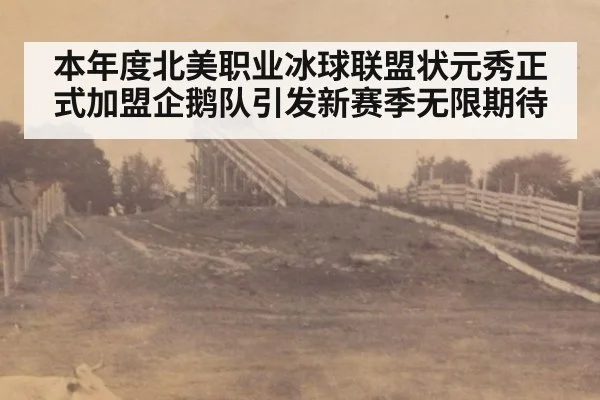 本年度北美职业冰球联盟状元秀正式加盟企鹅队引发新赛季无限期待