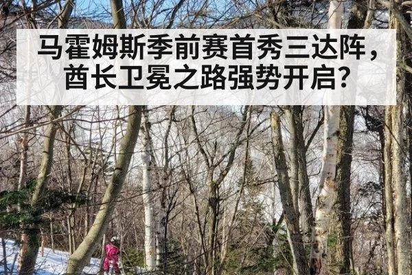 马霍姆斯季前赛首秀三达阵,酋长卫冕之路强势开启?