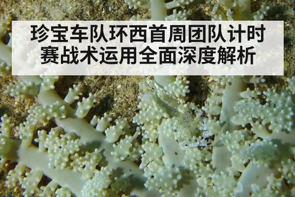 珍宝车队环西首周团队计时赛战术运用全面深度解析