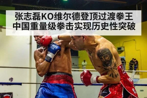 张志磊KO维尔德登顶过渡拳王 中国重量级拳击实现历史性突破