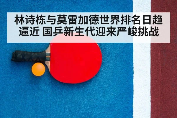 table tennis racket