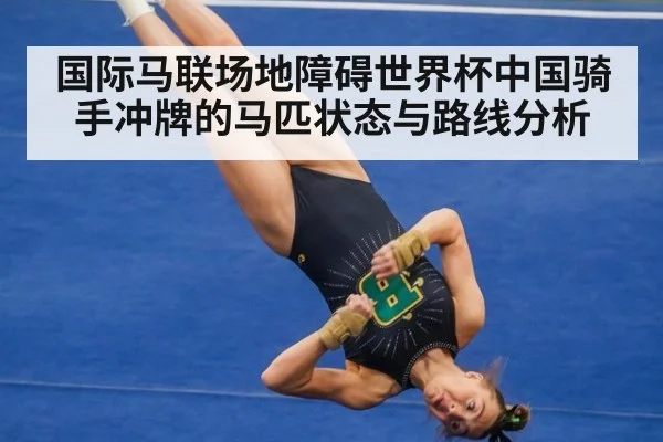 国际马联场地障碍世界杯中国骑手冲牌的马匹状态与路线分析